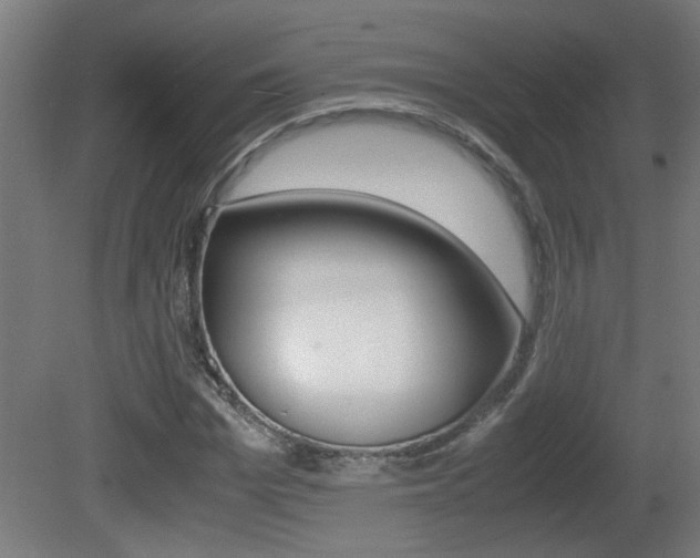 X0000081310969200701110958