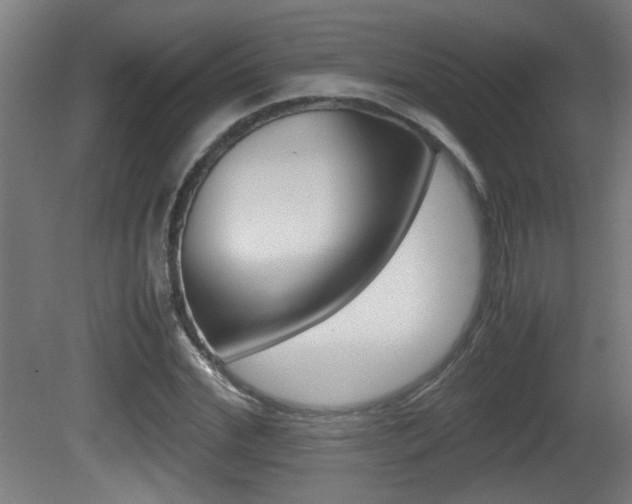 X0000081310972200701110958