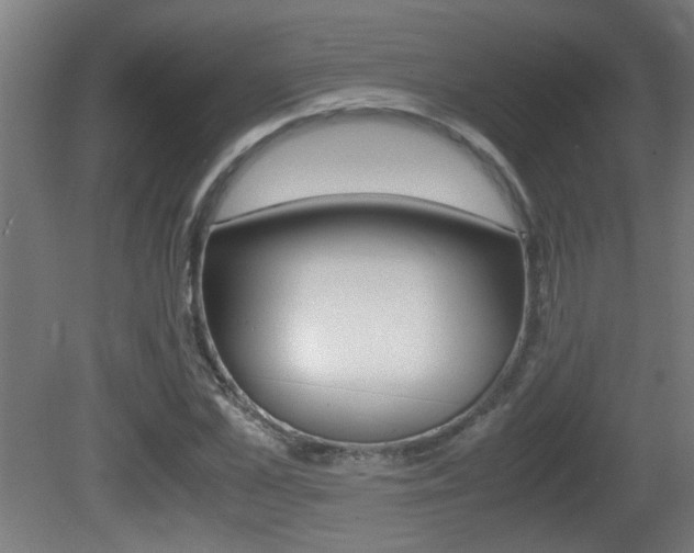 X0000081310973200701110958