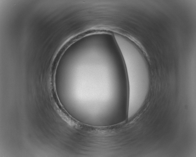 X0000081310976200701110958