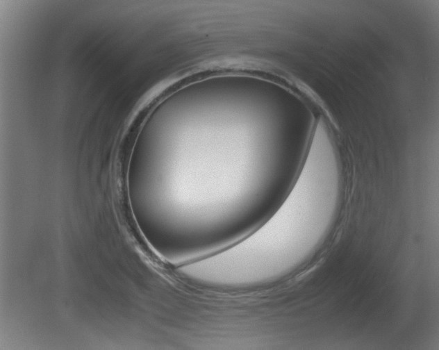 X0000081310981200701110958