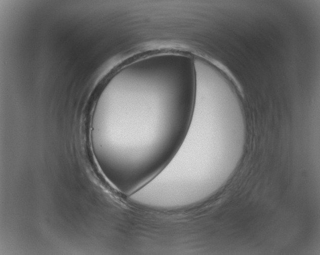 X0000081310983200701110958