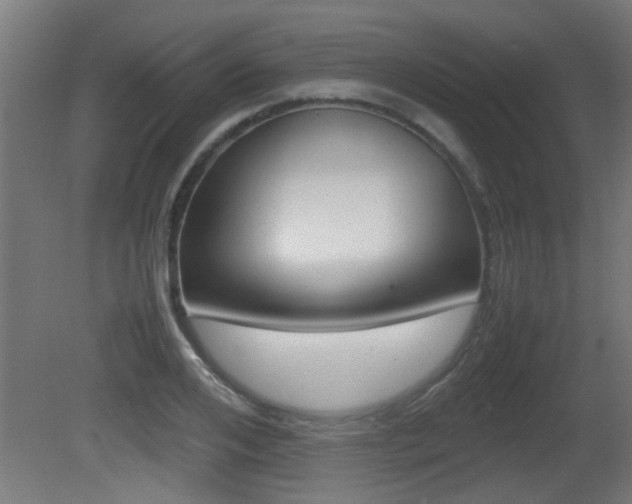 X0000081310984200701110958