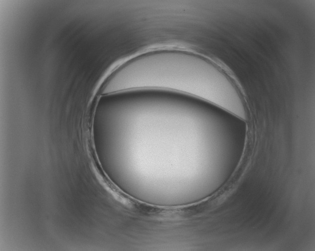 X0000081310989200701110958