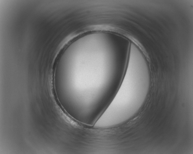 X0000081310992200701110958