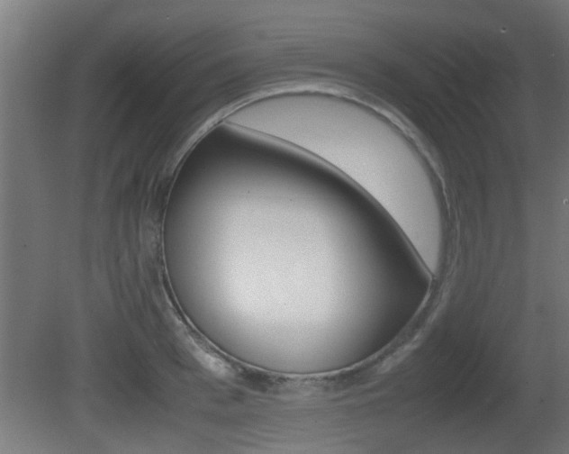 X0000081310993200701110958