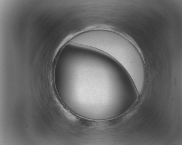 X0000081310997200701110958