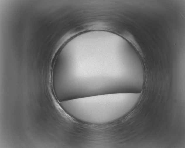 X0000081311000200701110957