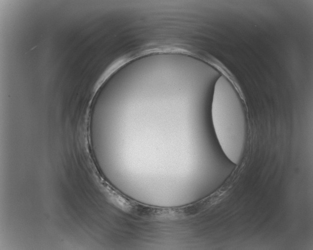 X0000081311002200701110957