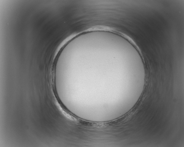 X0000081311003200701110957