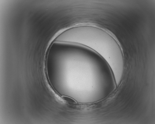 X0000081311005200701110957