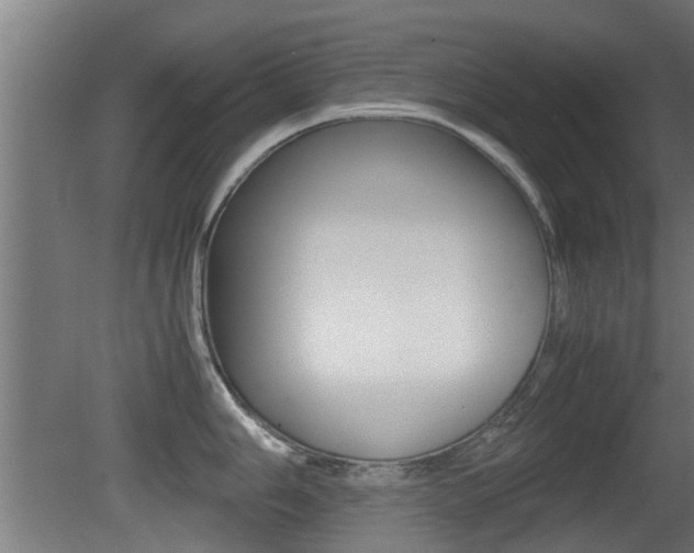 X0000081311006200701110957