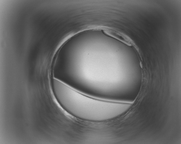 X0000081311007200701110957