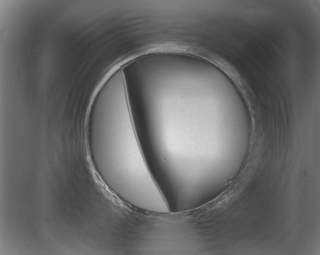X0000081311008200701110957