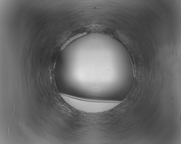X0000081311010200701110957