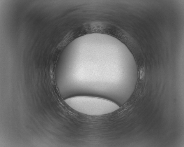 X0000081311011200701110957