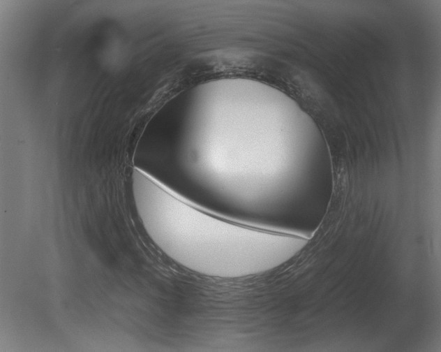 X0000081311012200701110957