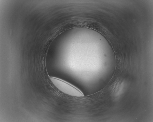 X0000081311013200701110957