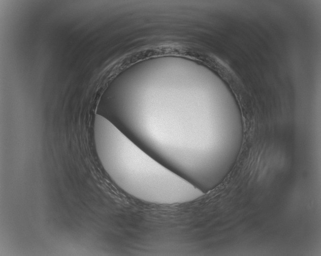 X0000081311015200701110957