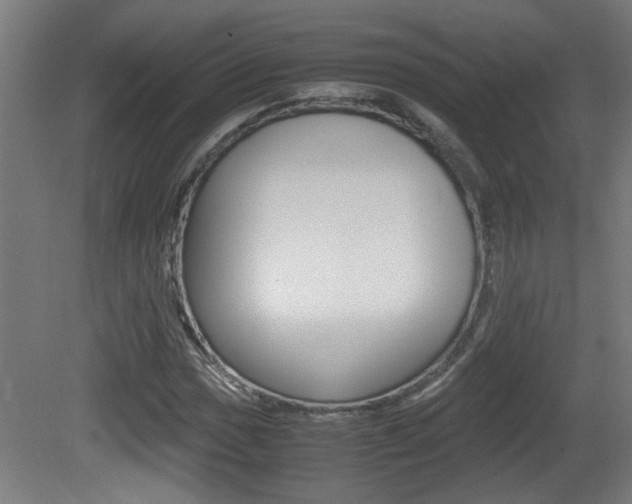 X0000081311017200701110957