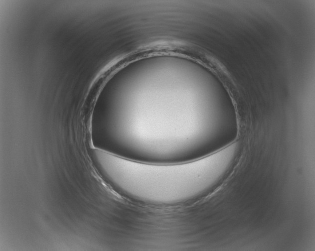 X0000081311018200701110957