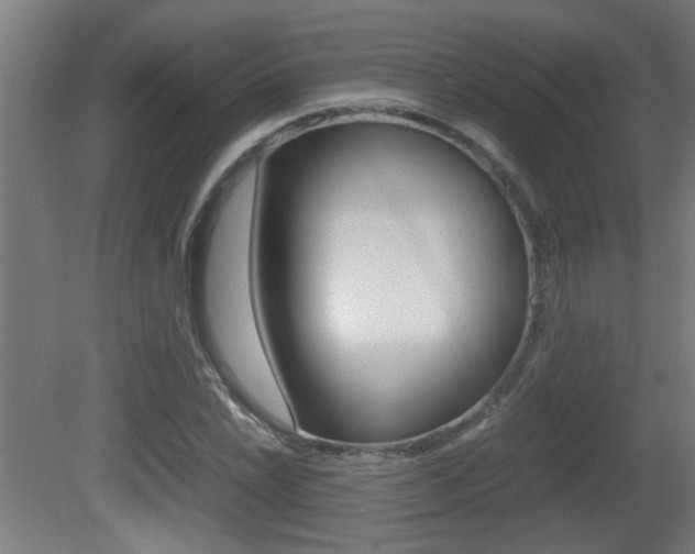 X0000081311022200701110957