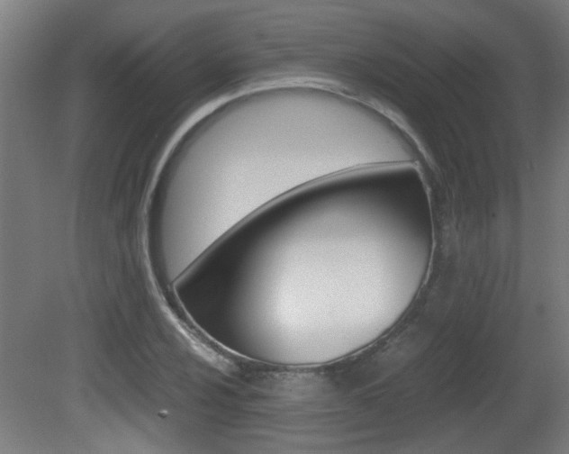 X0000081311024200701110957