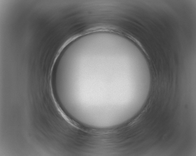 X0000081311034200701110957