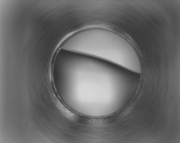 X0000081311036200701110957