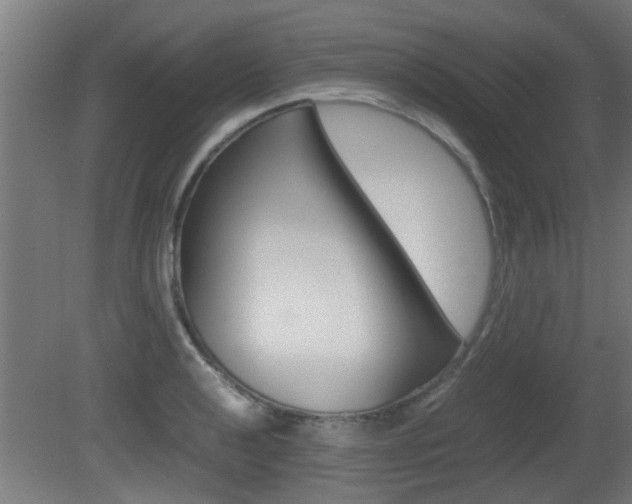 X0000081311040200701110957
