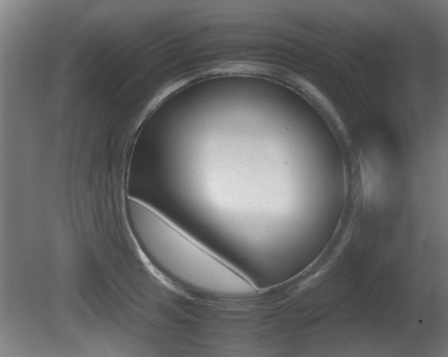 X0000081311041200701110957