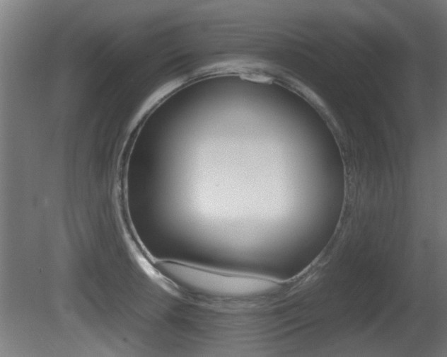 X0000081311042200701110957