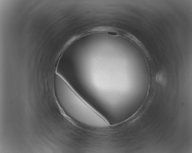 X0000081311049200701110957