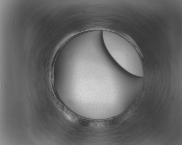 X0000081311051200701110957