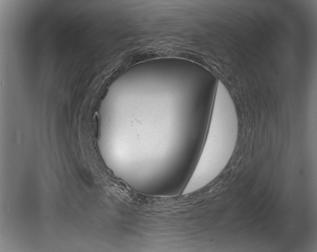 X0000081311057200701110956