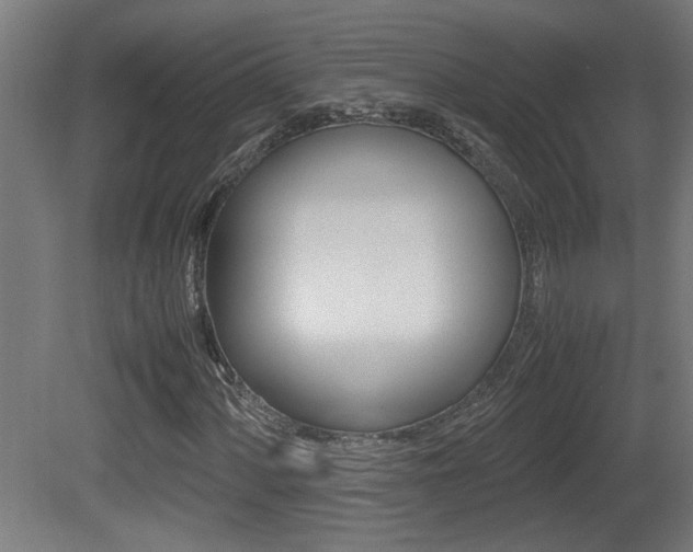 X0000081311060200701110956