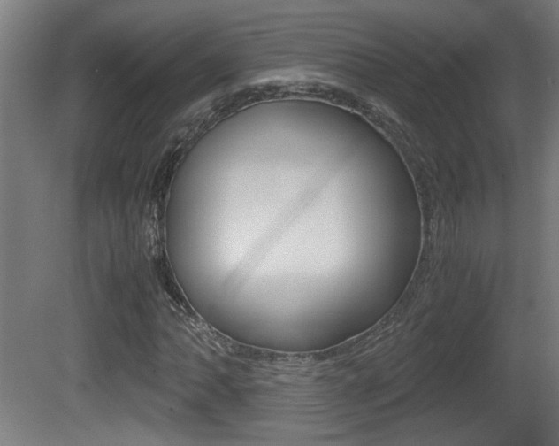 X0000081311062200701110956