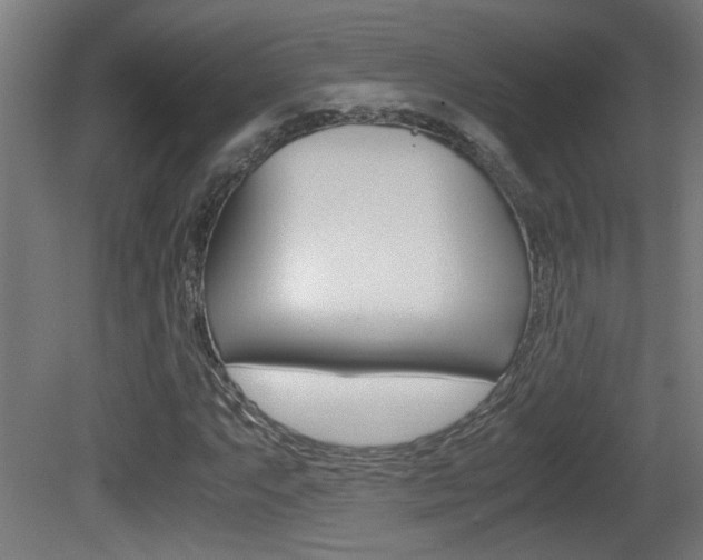 X0000081311063200701110956