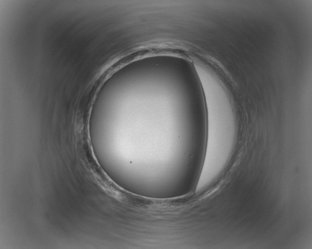 X0000081311065200701110956