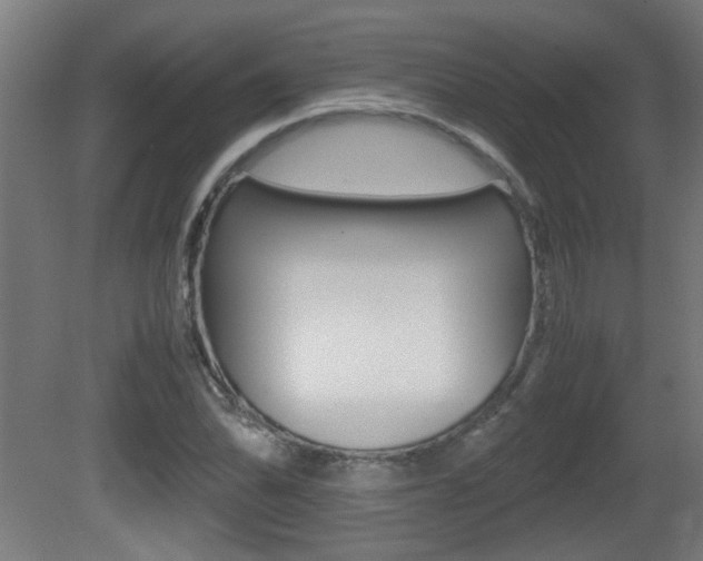 X0000081311070200701110956