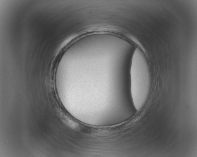 X0000081311071200701110956