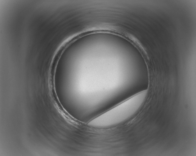 X0000081311072200701110956