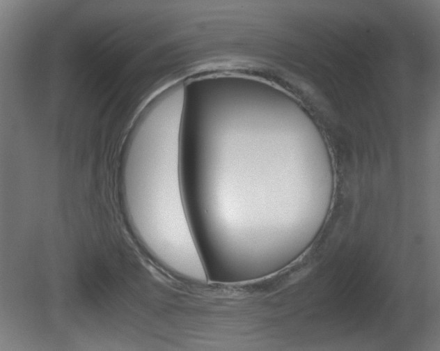 X0000081311073200701110956
