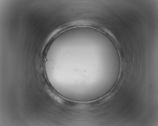X0000081311075200701110956