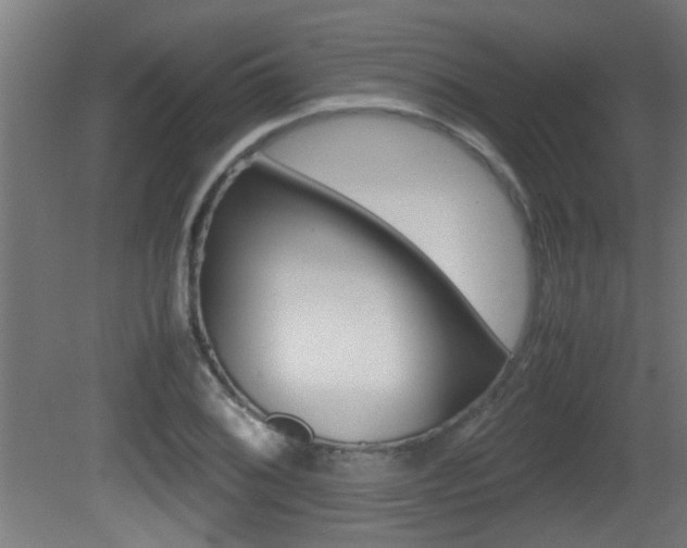 X0000081311076200701110956