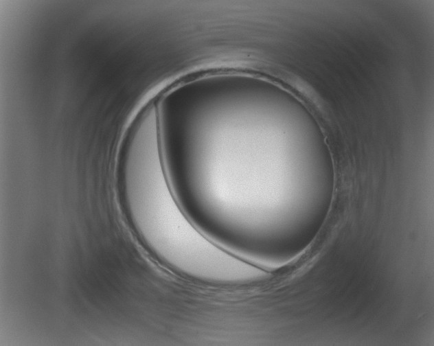 X0000081311077200701110956