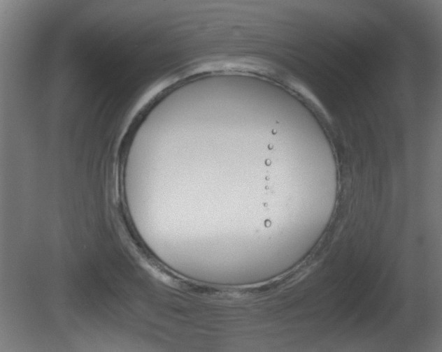 X0000081311079200701110956