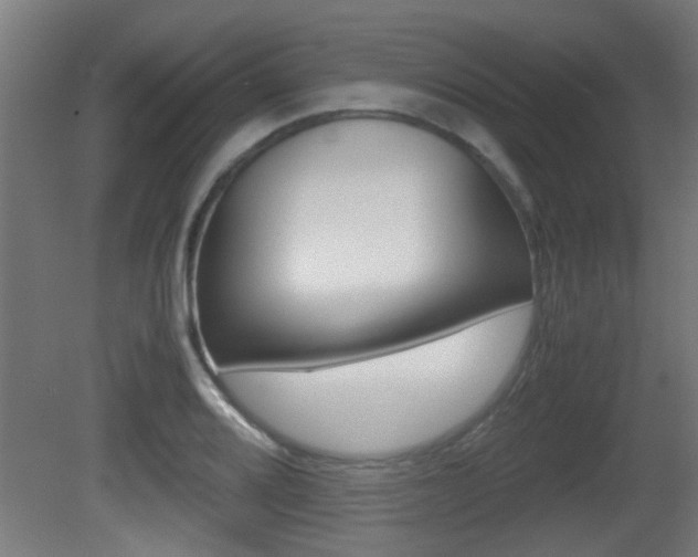 X0000081311080200701110956