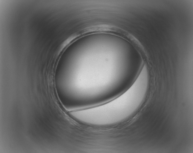 X0000081311081200701110956