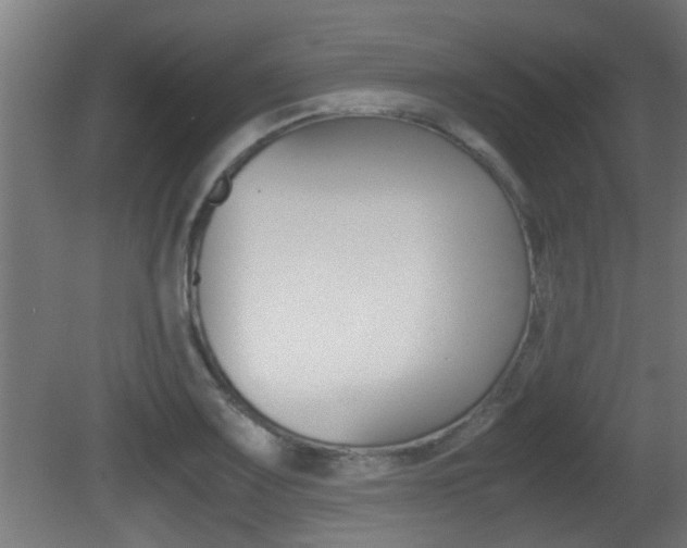 X0000081311083200701110956
